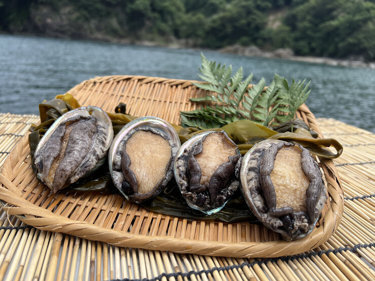 番組で紹介した「養殖漁業 美嶋丸 昆布を食べて育つ香住のあわび