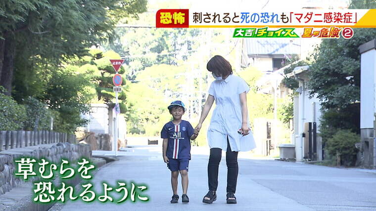 マダニ_000-000358801.jpg