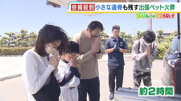 20240515_PetKasou-000347234.jpg
