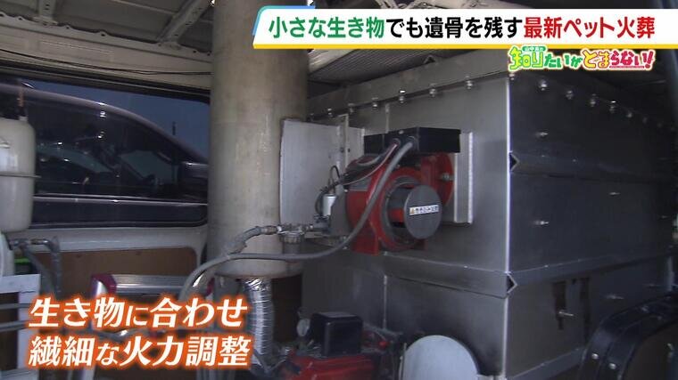 20240515_PetKasou-000440968.jpg