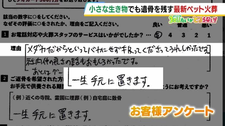 20240515_PetKasou-000523201.jpg