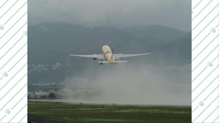 itami(4).jpg
