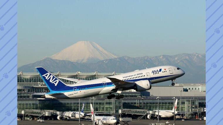itami(1).jpg