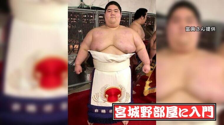 sumo(10).jpg