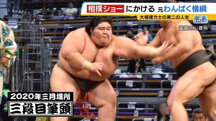 sumo(11).jpg