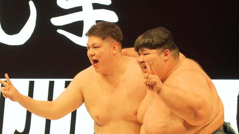 sumo_top.jpg