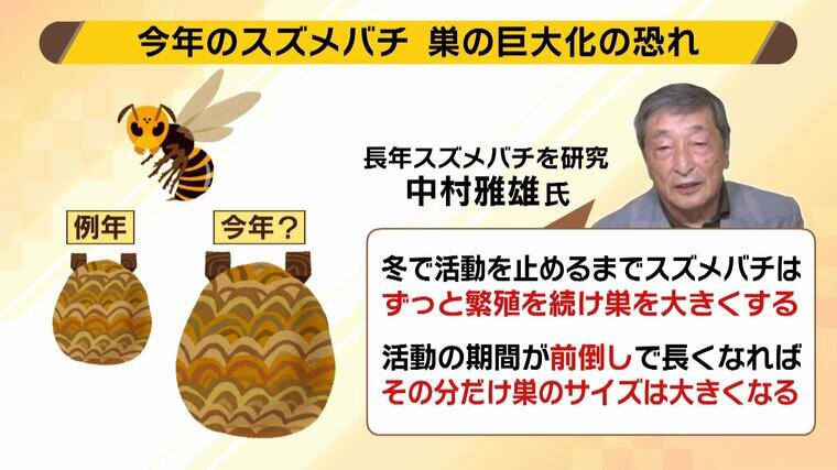 20240710_suzumebachi-000234067.jpg
