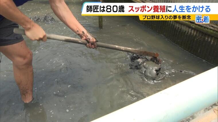特集本記（前半）b_000-000533434.jpg