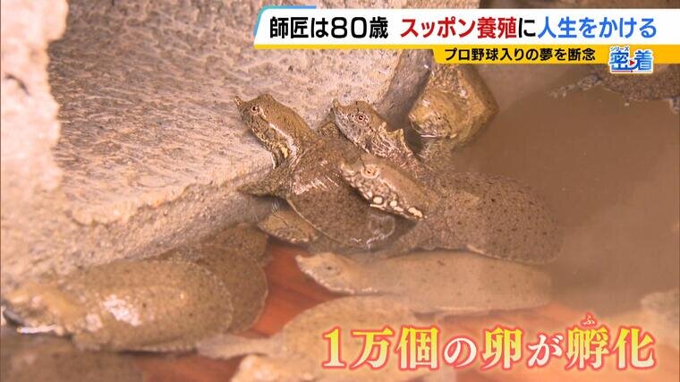 特集本記（後半）b_000-000045768.jpg