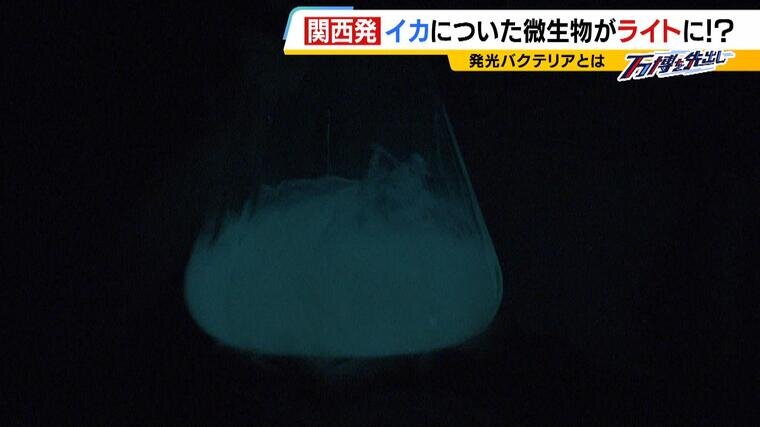 特集本記（前半）クロ_000-000331201.jpg