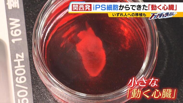 特集本記（後半）クロ_000-000537267.jpg
