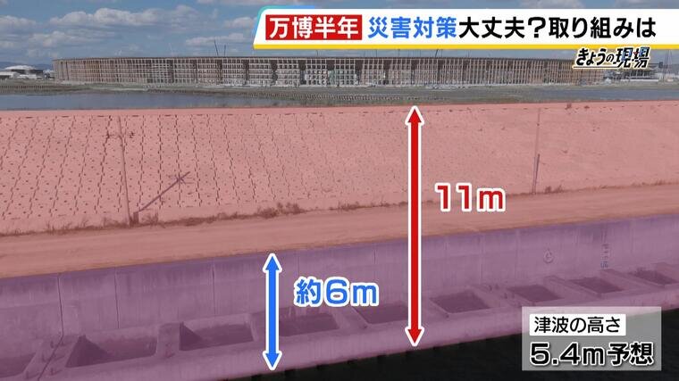 banpaku6.jpg