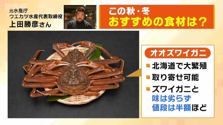 yasai7.jpg