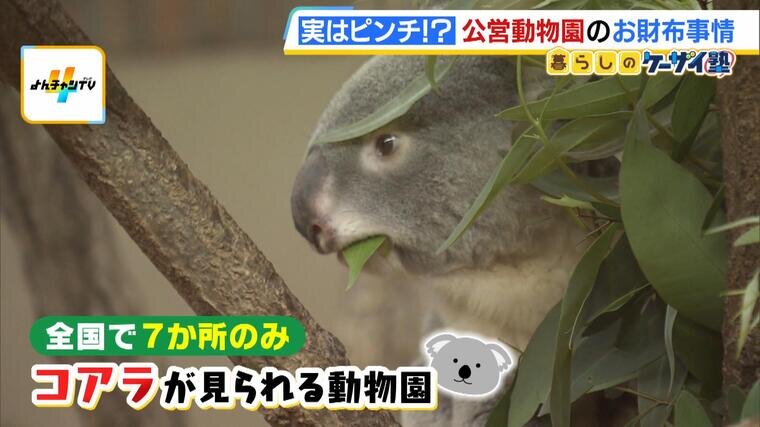【ケーザイ塾】公営動物園-000037968.jpg