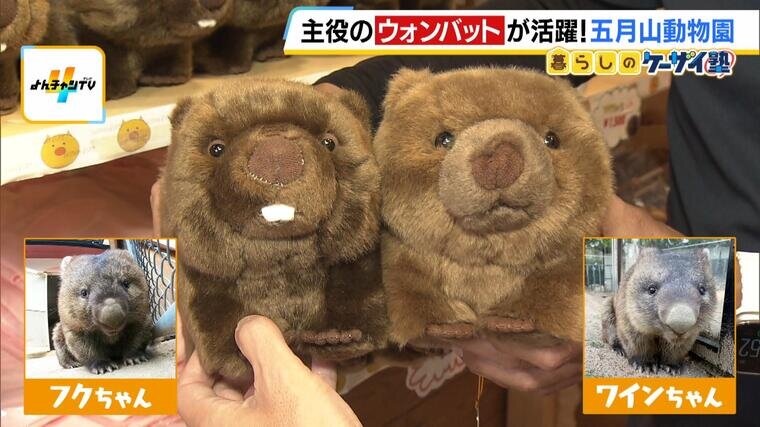 【ケーザイ塾】公営動物園-000616601.jpg