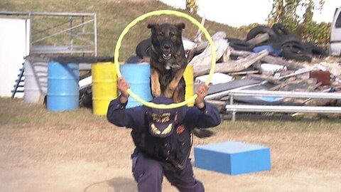 Soldier Story】SSM-003 1/12 HK SDU Canine Handler 香港警務処