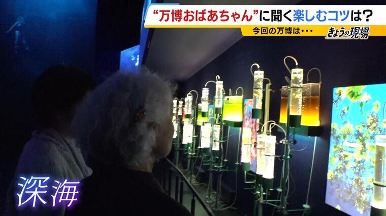 20250415_banpaku-000903534.jpg