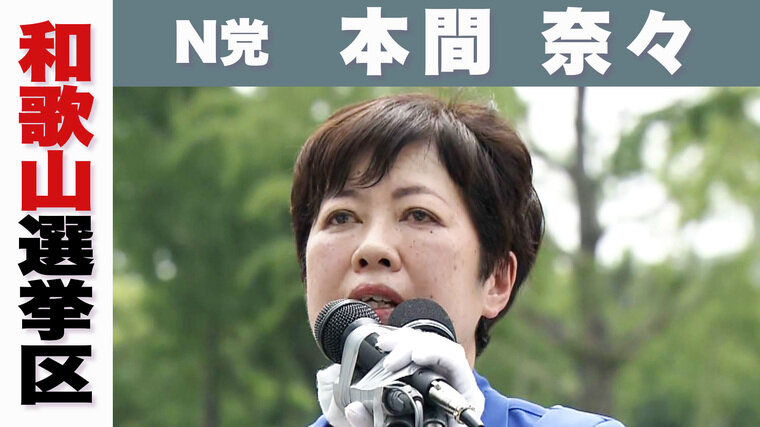 N党.jpg