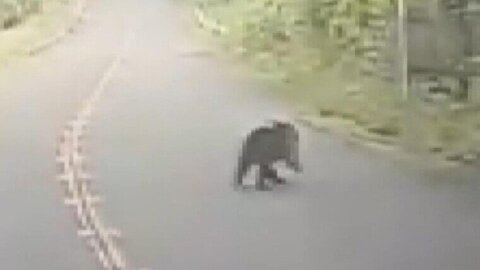 20250806kumakai-000233534a-