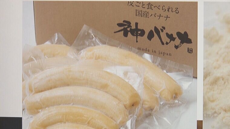 「みんなで大家さん」総額６４億円の出資集めたとみられる”神バナナ”の実態は？「栽培施設」あるとされる九州３か所を直撃　代表Ａ氏を追い奄美大島へ向かうも...あったのは荒れ果てたビニールハウスと空っぽのプレハブ【追跡取材第３弾】