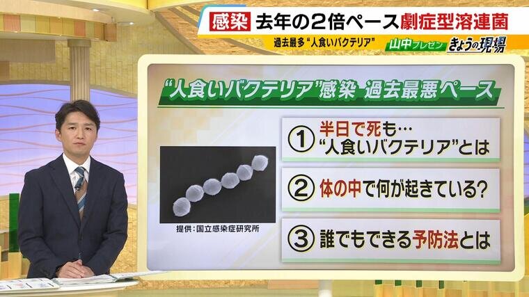 人食いバクテリア』の実態は『人食わせバクテリア』ってどういう