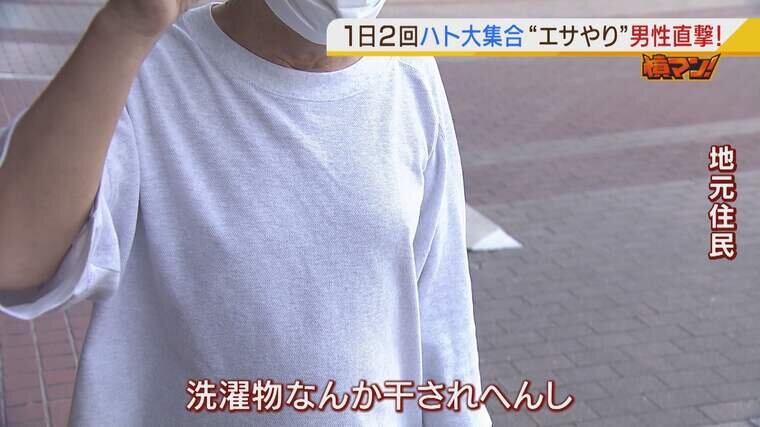 ハト被害 に長年悩む住民が怒り エサばらまく男性を直撃 ここのフンは私が与えたエサのフンではない 特集 Mbsニュース
