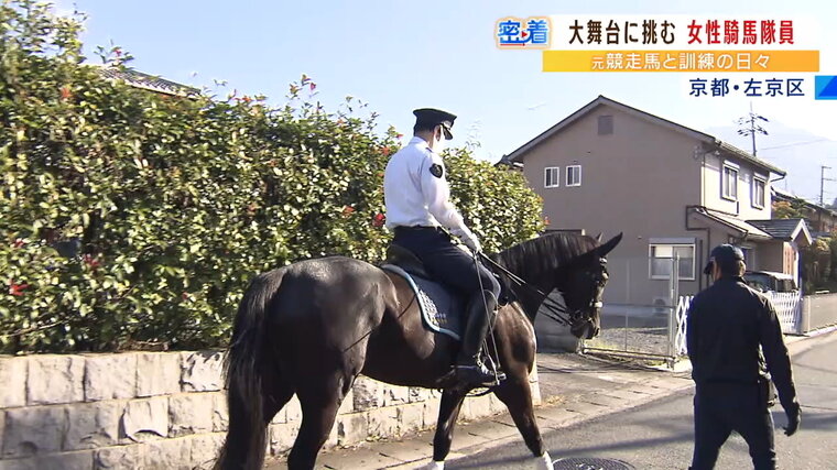 馬に乗る警察官『平安騎馬隊』の若手に密着「時代祭先導の大役に挑戦 ...