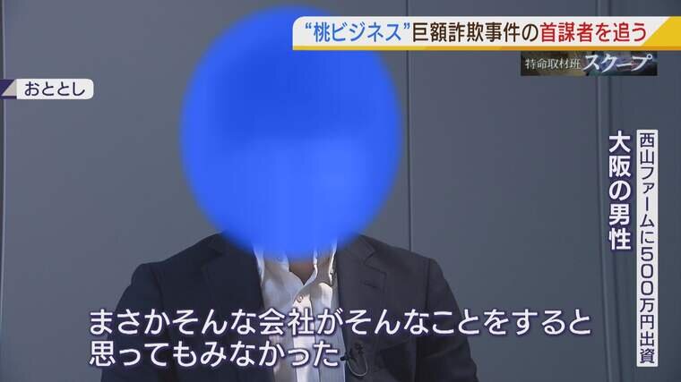 被害133億円 桃ビジネス巨額詐欺 首謀者とされる人物は海外移住 その前に直撃取材 俺はウソはつかない 絶対に よんチャンtv Mbs 被害133億円 桃ビジネス巨額詐欺 首謀者とされる人物は海外移住 その前に直撃取材 俺はウソはつかない 絶対に よんチャンtv Mbs
