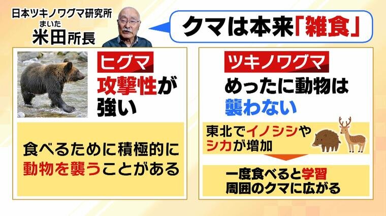 肉の味を覚えたクマ”が人を襲うおそれも 繁殖期の5～6月は「共食い