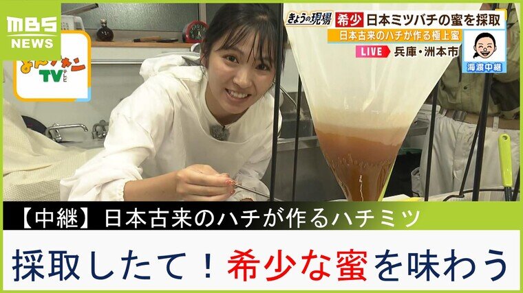 20%OFF 年末採取した希少な日本蜜蜂の巣蜜です。 🐝日本蜜蜂が大変な事態】💦暑さで巣落ち採蜜しました! - YouTube