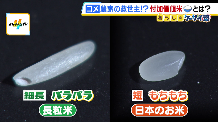 vlcsnap-2024-09-12-15h37m21s768.png