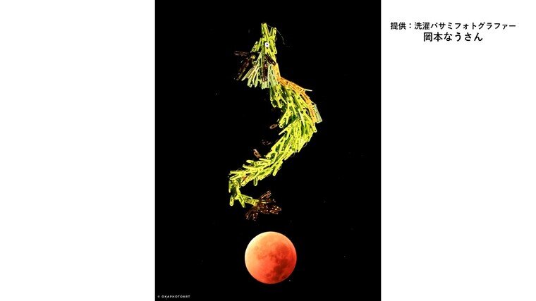 皆既月食の夜「ブラッドムーンがドラゴンボールに見えて」神龍のような