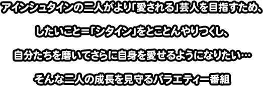 アインシュタインの愛シタイン Mbs