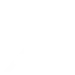 公式X