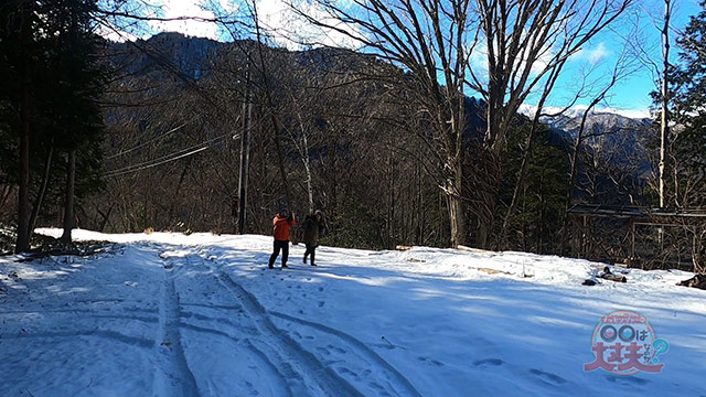 番組情報 は大丈夫なのか Mbs公式