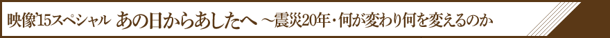 映像’15スペシャル あの日からあしたへ ～震災20年・何が変わり何を変えるのか