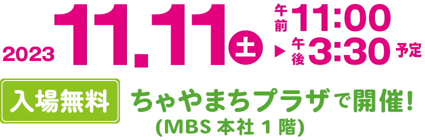 2023年11月11日(日) 