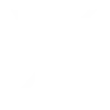 公式X