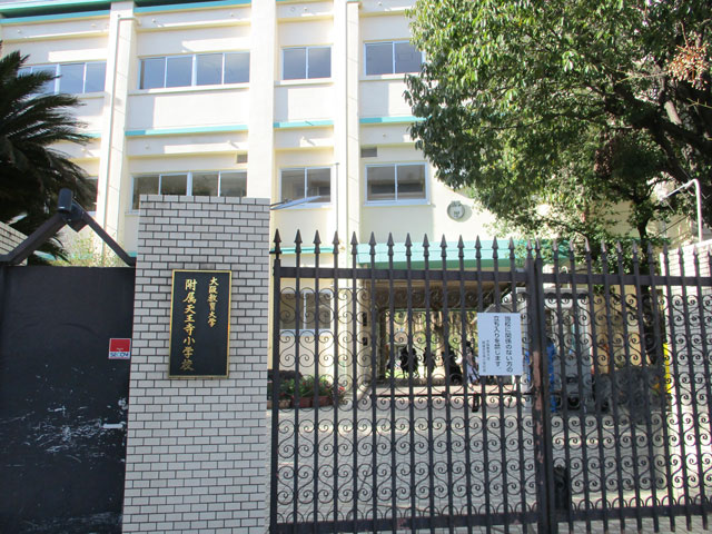 大阪教育大学附属天王寺小学校 出張授業 Mbs