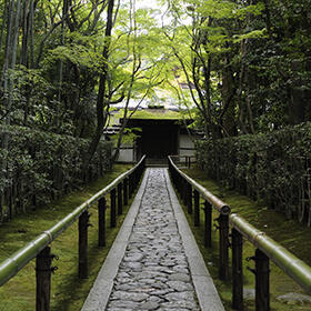 高桐院