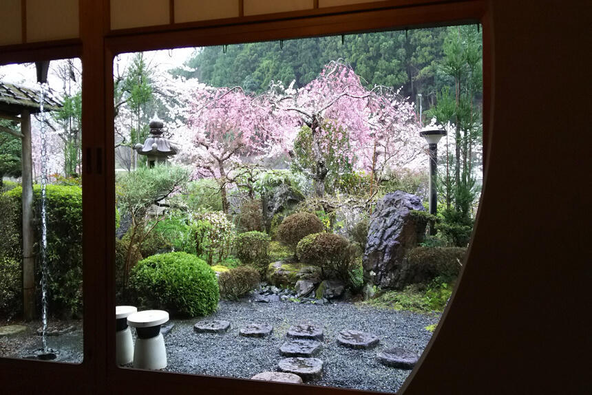 料理旅館すし米の桜の見える庭園