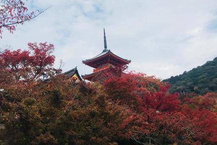 京都の紅葉だより①京都随一の人気を誇る清水寺