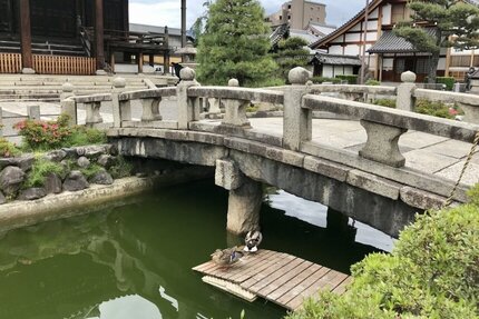 京都・要法寺から鴨川へ