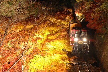 嵯峨野トロッコ列車が「光の幻想列車」に！