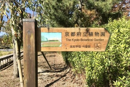 京都府立植物園で「府民交流フェスタ」が開催