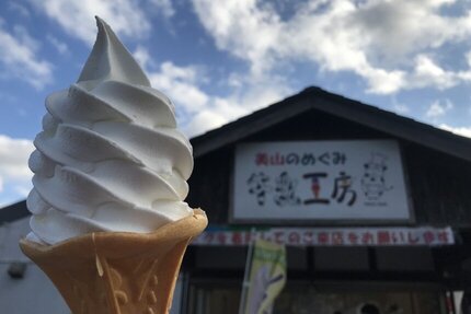 冬にこそ食べたい「美山牛乳ソフトクリーム」