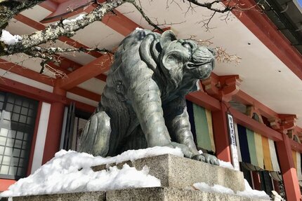 新春の鞍馬① 鞍馬寺の「あうんの虎」   