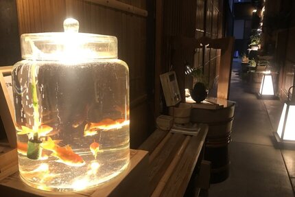 先斗町で楽しめる「路地水族館」