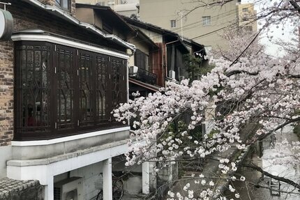 桜の満開と「喫茶KANO」のモーニングセット