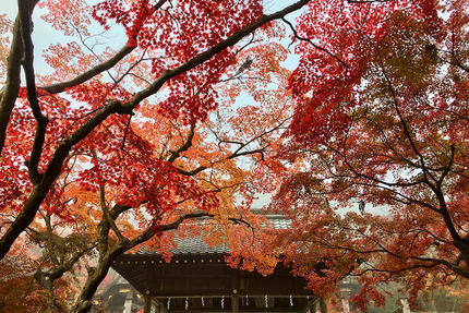 京の秋色